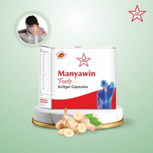 Мягкие капсулы MANYAWIN FORTE SOFTGEL (10X10) - 100 шт (650 мг)